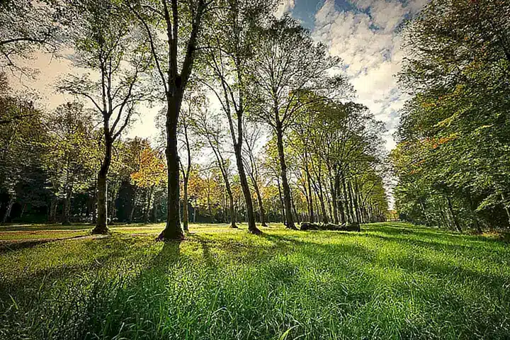 Badeabenteuer und Abenteuer im Park