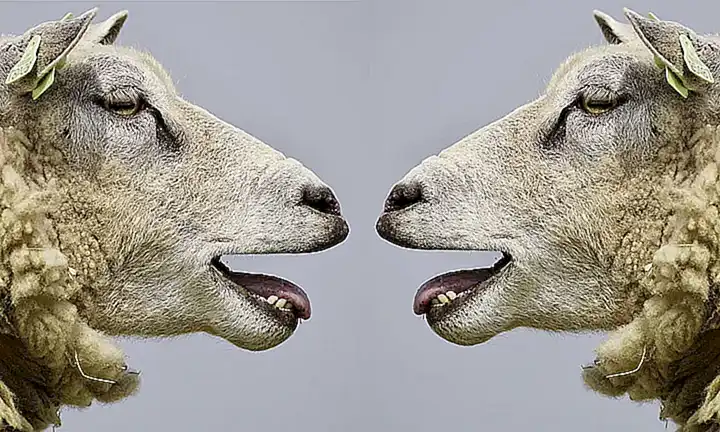 Diskussion und Kritik an Jünger