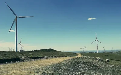 Johanna Mikl-Leitner entschuldigt sich bei Kronen Zeitung über Ballkleid-Sager