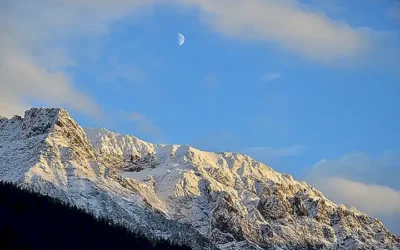 Österreichs Kolonialgeschichte und ihre Folgen für die heutige Welt